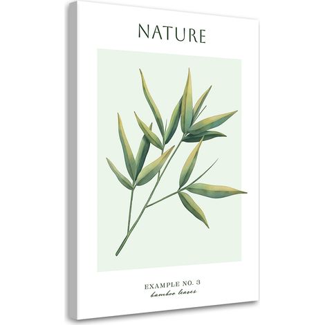 Tableau sur toile Feuilles de bambou - Nature 40x60 (1/5)