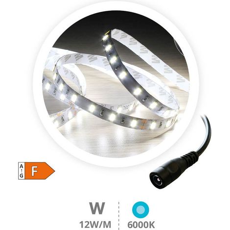 Rouleau 5M Bande LED 12W/M 6000-6500K IP44 24V
