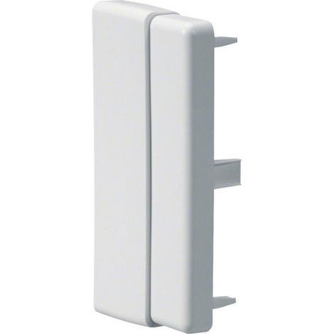 Hager – Plaque d'extrémité pour canal d'installation LF/LFH 60 x 110 mm – Blanc pur RAL 9016 – Accessoire goulotte électrique – LFF6011069016