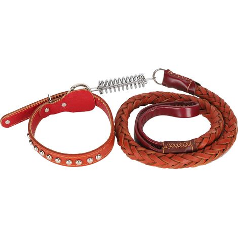 Ensemble Laisse Et Collier Pour Chien - Cuir Artificiel Réglable Avec Mousqueton Alliage - Pour Races Moyennes Et Grandes - Marron (1/5)