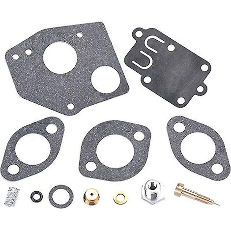 1 jeu de joints et diaphragmes pour kit de réparation de carburateur Briggs & Stratton 495606 (1/4)