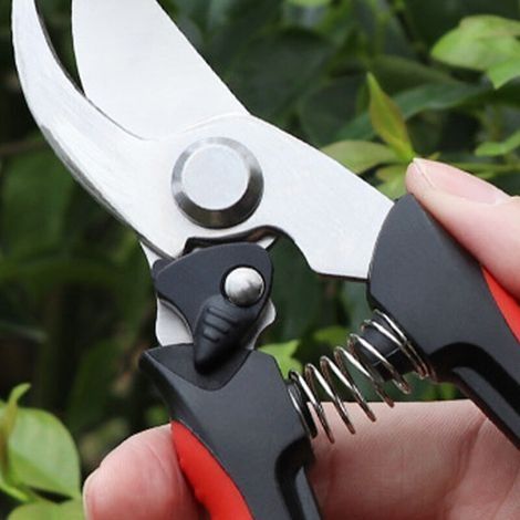 Set Gartenschere und Astschere, Profi Pflanzenschere, Scharfe Rosenschere, aus rostfreiem Edelstahl, rutschfeste PP-Griffe, 3-teilig (1/3)