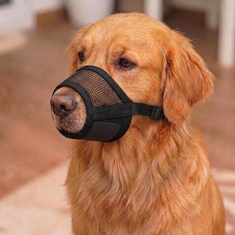 Muselière pour chien - Taille M - Tissu en maille douce et respirante - Ajustable par Velcro - Protège contre les morsures, les aboiements et les mâchonnements - Permet de respirer et de boire - Noire (1/5)