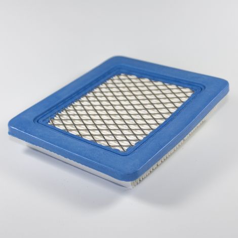 Filtro aria motore Briggs&ampampStratton - BM1208