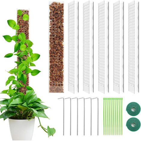 6-teiliges Rankhilfe-Set für Kletterpflanzen, Monstera-Stütze, Sphagnummoos und Kokosfaser, 61 cm lange Kunststoffstütze für Topfpflanzen, Verlängerungsstab für Zimmerpflanzen, Haus und Garten