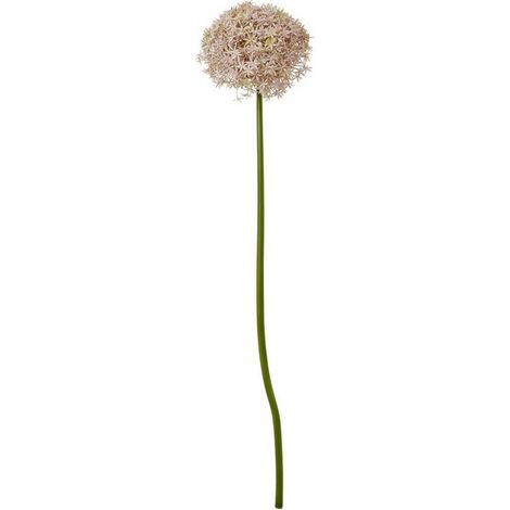 Giant Allium (Single Stem Flower) - Plastic - L21 x W21 x H90 cm - Lilac