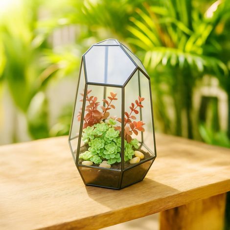 Geometrisches glasterrarium fur sukkulenten und luftpflanzen (1/5)