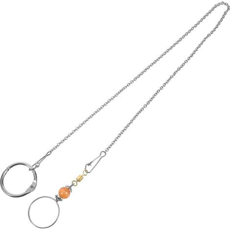 Collar con colgante de loro para decoración con cadena de acero inoxidable (1 juego) (1/5)