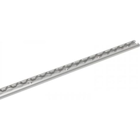 Zurrschiene 60cm (1/5)