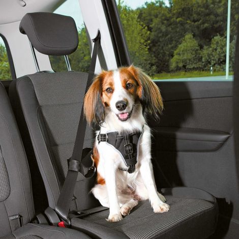 Trixie Dog Confort arnés de seguridad negro S-M (1/5)