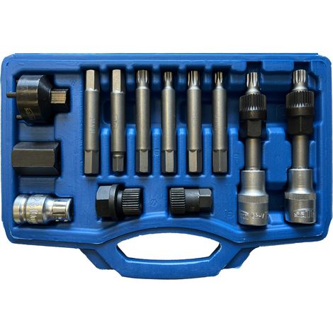 Coffret d' outils douilles et embouts pour depose repose alternateurs (1/2)