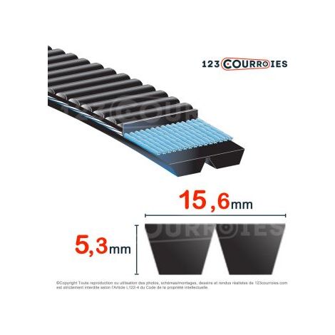 Courroie trapézoïdale polyuréthane Bando Banflex 2-7MS563