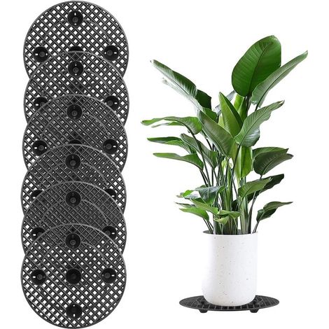 Realza el aspecto de tus plantas con este paquete de 6 soportes para macetas de 30 cm (1/5)