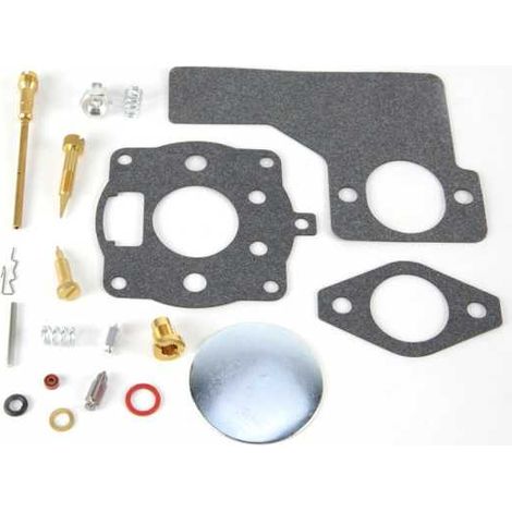Kit réparation carburateur pour moteur Briggs & Stratton 391071 (1/2)
