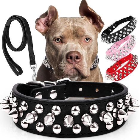 Ensemble Frienhund collier et laisse à pointes/clous (1,2 m) : Collier réglable en cuir PU pour petits chiens et chats, robuste, boucle en métal, protection du cou, style punk, noir, taille XS (21–27 (1/5)