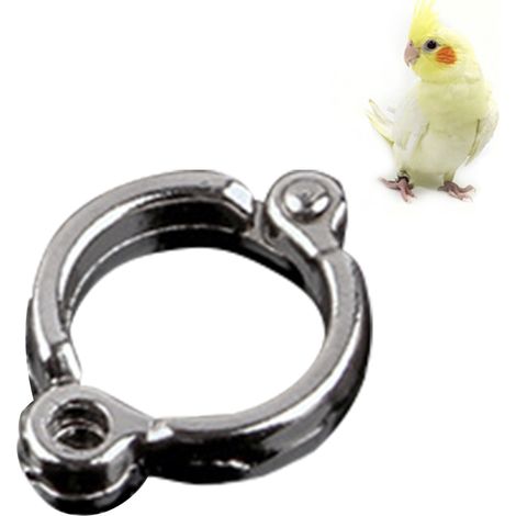 Anillo resistente de aleación para patas de aves (4-15), anillo de identificación liso e inoxidable para periquitos y cacatúas. (1/5)