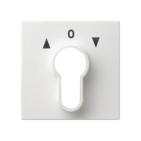 Gira Copertura interruttore a chiave/pulsante System 55 bianco puro m [066427], 0664 27