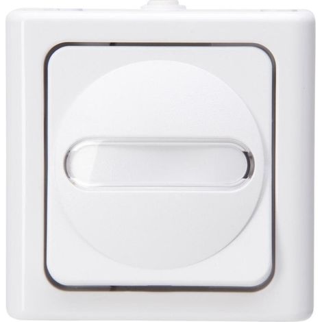 KOPP Wechselschalter arkws mt BLUEELECTRIC 1f m.Glimm AP IP44 10AX 560602007 (1/5)