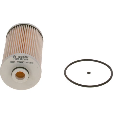 Filtro de combustible Bosch F026402829 (1/5)