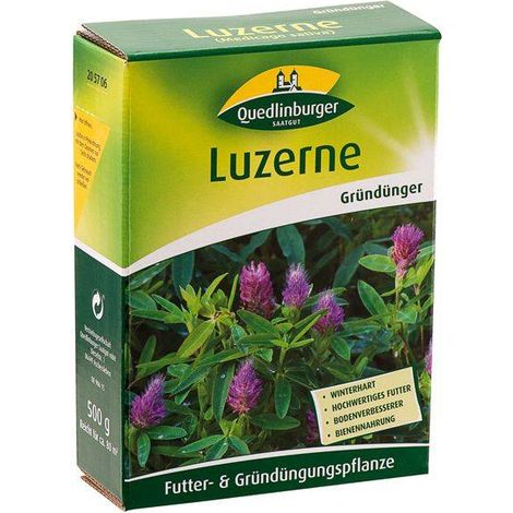 Quedlinburger Gründüngung Blaue Luzerne 500 g - Faltschachtel