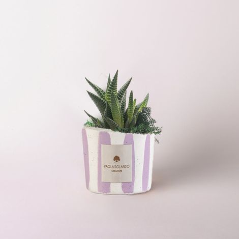 Vaso decorato a strisce con pianta grassa succulenta Millerighe - Lilla