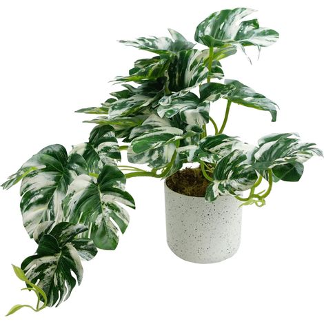 30cm Artificial Variegated Green Potted Monstera Trailing Plant (1/4)