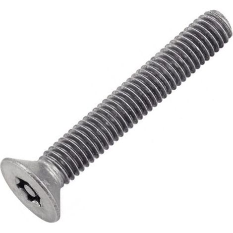 Vis Inviolable TF Torx + Téton M5X25 Inox A2 (1/2)