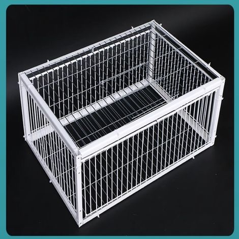 Volière améliorée pour pigeonniers avec mailles épaisses et système de récupération automatique, entrée unidirectionnelle pour une utilisation en extérieur. (1/4)