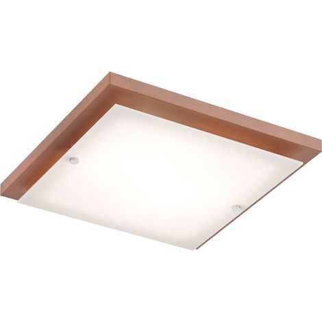 Envostar 'Kerio' in Marrone da Legno