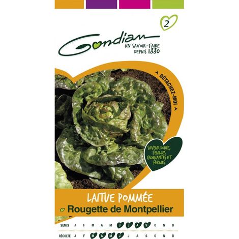 Gondian - Laitue Pommée Rougette de Montpellier (1/4)