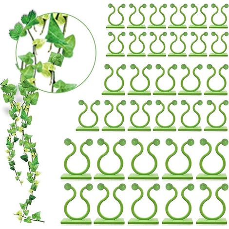 Lot de 100 supports muraux pour plantes grimpantes avec crochets auto-adhésifs en 3 tailles - Clips de fixation pour légumes (100 clips verts) (1/5)