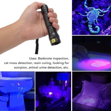 Lampe de Poche UV Professionnelle Haute Luminosité 365 Nm UV LED Mini Lampe de Poche pour Détecteur D'urine pour Animaux de Compagnie Durcissement de la Résine Lampe de Poche à Lumière No (1/5)