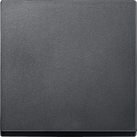 Clé simple Anthracite SCHNEIDER ELEGANCE MTN433114 (1/3)