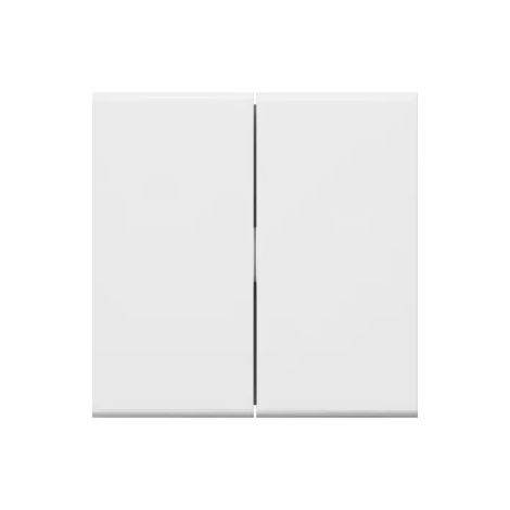 Tehalit Wippe 2-fach für Schalter/ Schalter/Taster GW2B vws (1/2)