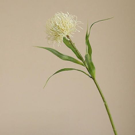 Chrysanthème artificiel en plastique, tige unique, aiguille, photographie de mariage, décoration intérieure, art floral, fausse fleur de chrysanthèmeblanc laiteux (1/5)