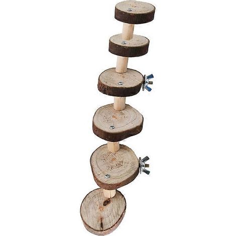 Accessoires pour cage : inséparables, gerbilles, rats, chinchillas, écureuils, oiseaux, perchoir d'exercice - 6 (1/5)