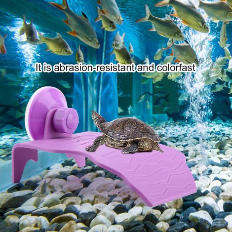 Plateforme flottante d'escalade pour tortue en plastique (violet, S) (1/5)