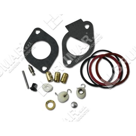 Serie guarnizioni per motori BRIGGS & STRATTON 796185 Compatibile - 026067