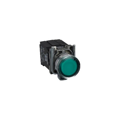 Pulsante luminoso verde Ø22 - filoghiera ad impulso - 240V - 1NO+1NC - XB4BW3345