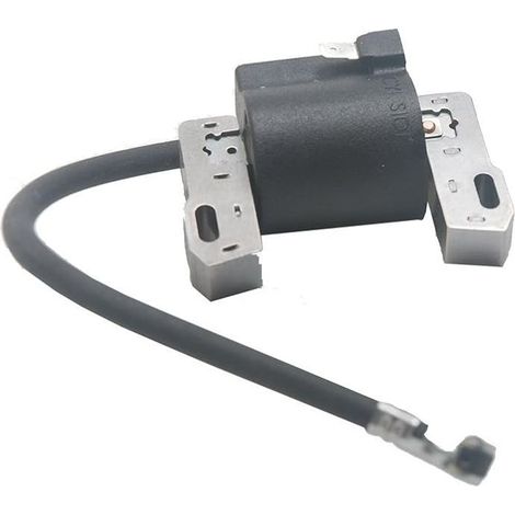 Bobine d'allumage de rechange pour moteurs monocylindre horizontal et vertical de 7 à 16 CV Briggs & Stratton 398811 395492 395326 398265 (1/5)