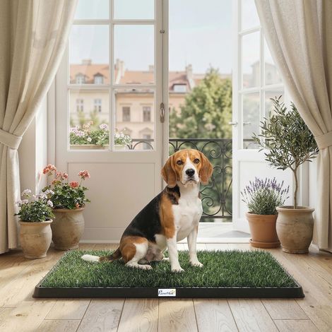 Tapis gazon lavable chiens artificiel plateau usage intérieur extérieur 76x50,5 cm