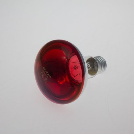 Ampoule Colorée R80 Rouge - 1 Unité - Verre Soufflé - Éclairage d'Ambiance Festif - Soirées et Événements - Culot E27 60W (1/3)