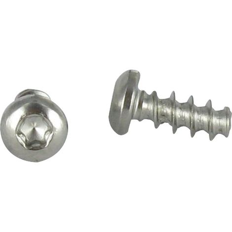 Vis pvc tête cylindrique bombée large 5X30 TORX T20 Inox A2 400HBSSRR-1 pièce