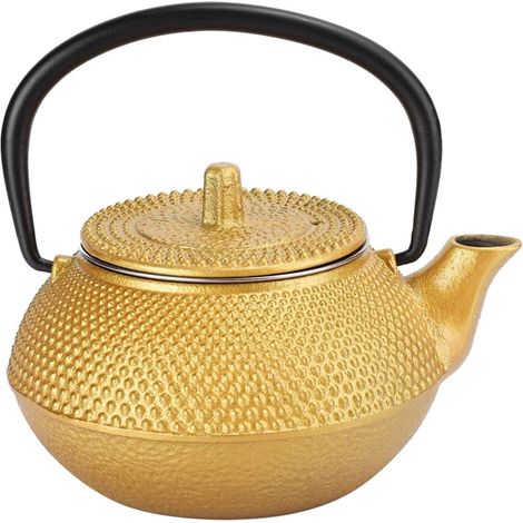 300ML Théière en Fonte Japonaise, Teapot en Fer Traditionnel avec Résistant à la Chaleur Infuseur et Bec et Poignée Bouilloire à Thé pour Matcha de Cérémonie Sûrs Sur la Cuisinière (1/5)