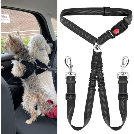 Double Laisse pour Chien avec Amortisseur, Laisse Double Anti-Emmêlement pour Voiture, Attache Sécurité Réglable pour Animaux, Adapté pour 2 Chiens, Noir (1/4)