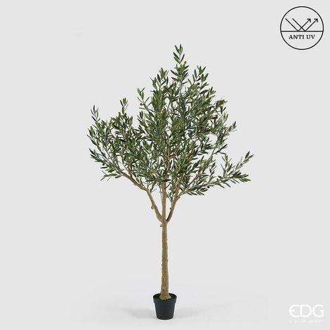 EDG Enzo De Gasperi Olivo con Vaso H 208 Cm Pianta Artificiale Anti Uv Verde