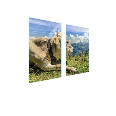 GLASSCHUTZPLATTE FÜR HERD 75x52 COW (1/5)