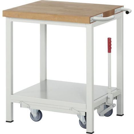 Établi Rau avec châssis abaissable modèle 8000 L 750 x P 700 x H 880mm (1/5)