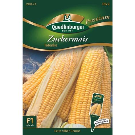 Quedlinburger Zuckermais Tatonka - Gemüsesamen (1/2)