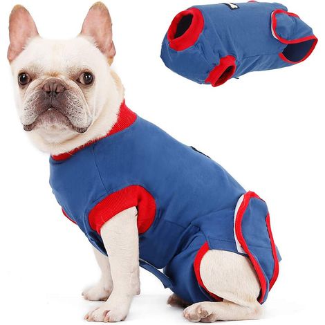 Combinaison de récupération post-opératoire pour chiens et chats, body de convalescence mâles et femelles, pansement abdominal, alternative à la collerette, combinaison anti-léchage confortable en tis (1/5)